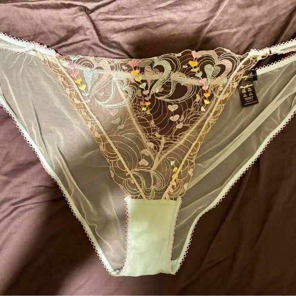 New no tag. Honey Birdette Candy Aquamarine Brief Panty Size XXL - Picture 4 of 8